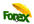 advice you on Live Forex Trade