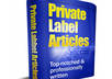 give you 16600 Finance PLR Articles small1