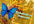 create an Elegant Butterfly Video Intro for your business