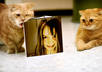 create a beautiful image of two cute kittens holding your portrait photo