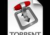 teach you how to AUTOMATE downloading fresh tv series and movies with torrent