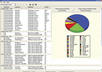 do Data Entry of 300 records using Excel