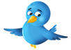 provide 500 followers to any account without admin access