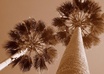 help plan out a vacation, holiday or things to do in Los Angeles