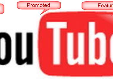 give your youtube video over 300+ views and 20+ likes with backlinks for seo optimization big1
