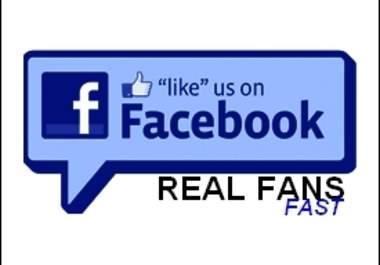give you 50 Facebook Likes fans in 24 hours big1