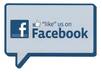 send 200+ facebook likes in 7 DAY from Real Human,different ip to your fan page