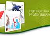 create 200++ verified backlinks do follow high PR web 2 profile and 30,000 blog comments