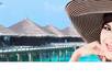 put your link on my PR3 Travel blogroll for 1month and you can renewal