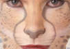 video morph your Face into an Animal
