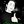 scottbob