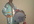 dance Bhangra style and play Dhol saying Your Custom Message Video