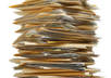 convert up to 10 of your doc files to pdf, html, docx, rtf, or xml formats or vise versa