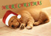 produce this 2012 January Winter photo Cosmic video small1