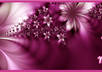 Cover_01