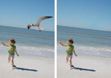 remove unwanted junk from your photos big1