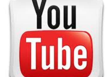deliver 500 views to youtube video, real human video views within 24 hours big1