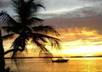 tweet your business and or opportunity to my South Florida following I have many businesses and people in the area