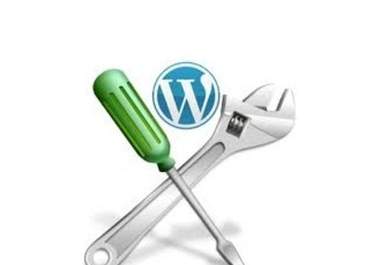 solve any of your wordpress issues big1