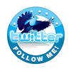 follows_twitter