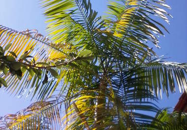 show you what I see from  my window in Rio de Janeiro big1