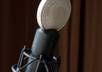 Mic