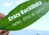 submit your article to 1200+ high PR wiki Backlinks