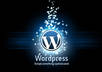 install WordPress and any Premium Theme you like