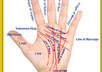 do palmistry reading for you