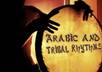 give you 100 midi samples of traditional Arabic Rhythms