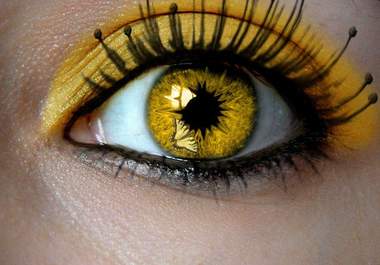 answer 3 eye related questions big1