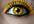 answer 3 eye related questions