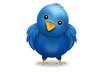 tweet Anything You Like with PROOF 5 Times a Day for 5 Days, 25 total, Message and Link to my 42,000+ Twitter Followers, Best Deal on Fiverr small1