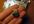 send you Mini USB Bluetooth