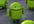 write a review for your android iphone ipad app into my blog and twitter