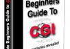 give you an absolute beginner guide about CGI scripting