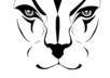 use photoshop to create an outline/lineart of your character/drawing
