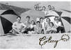review your surf shop, surfboard shaping website, or surf blog on my blog