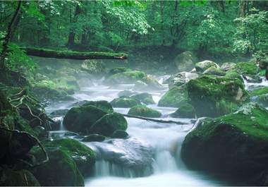create a 2 or 3 Minute Film or SlideShow that will Help to Instill a Sense of Peace big1