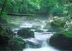 create a 2 or 3 Minute Film or SlideShow that will Help to Instill a Sense of Peace small1