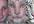 morph your pictures