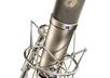 voice record whatever you want said small1