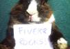 have my sweet bunny hold your message small1