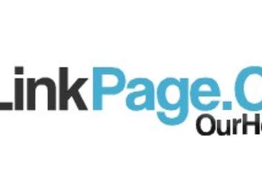 design you a simple and proffessional logo big1