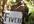 create a funny JUNGLE boy holding your message, bussiness, promotional txt