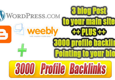create 3 blog posts and 3000 xrumer profile backlinks big1