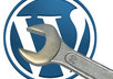 help solve any problem with wordpress