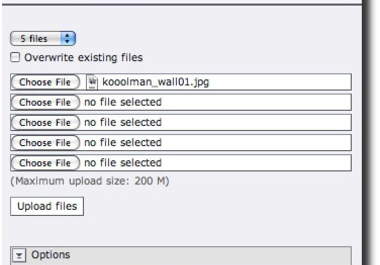 upload or install in your site big1
