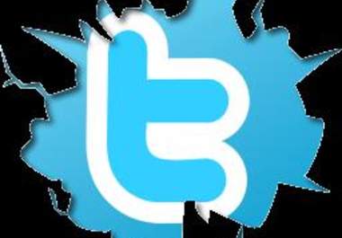 show you how to add tons of Twitter followers per day big1