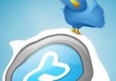 promote your site to over 5000 followers on Twitter big1